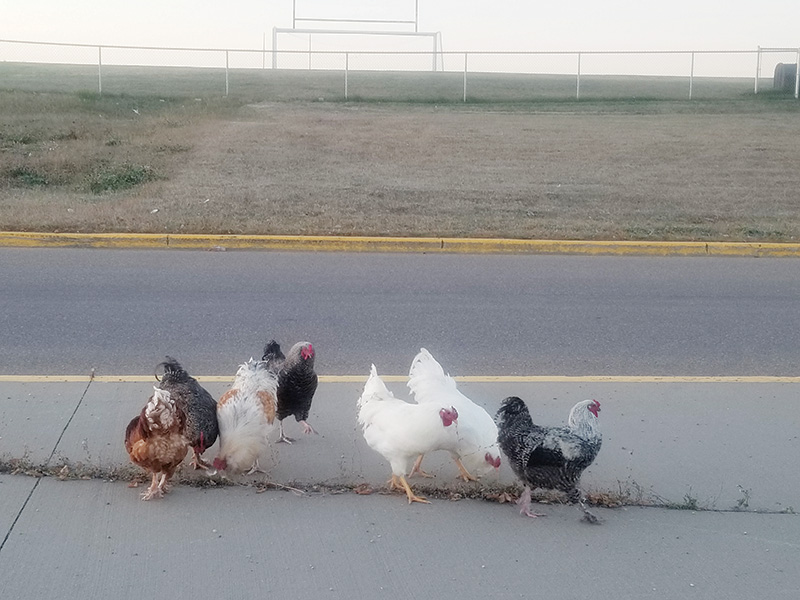 We have questions