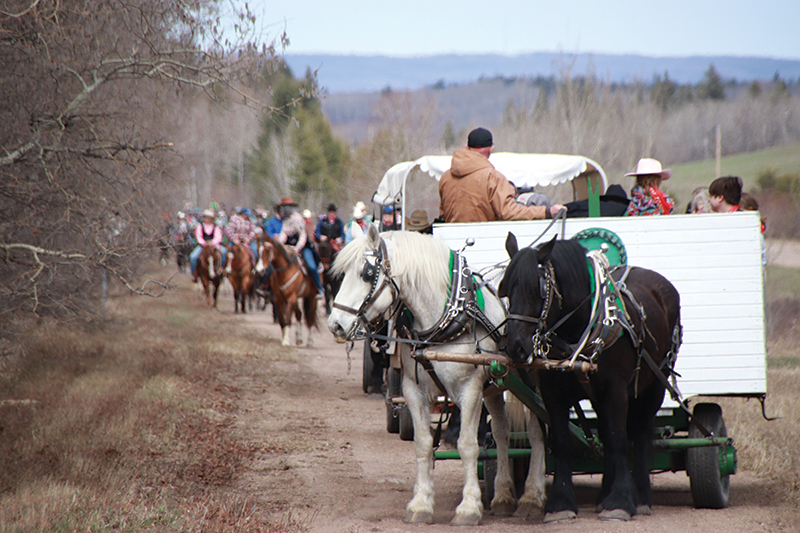 2nd Chance takes to the trail for the 15th time