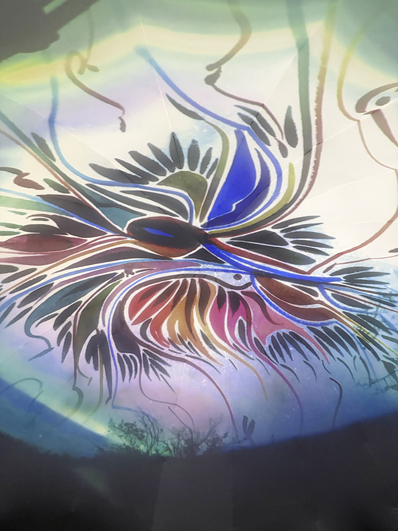 Surround yourself in the art of Alex Janvier