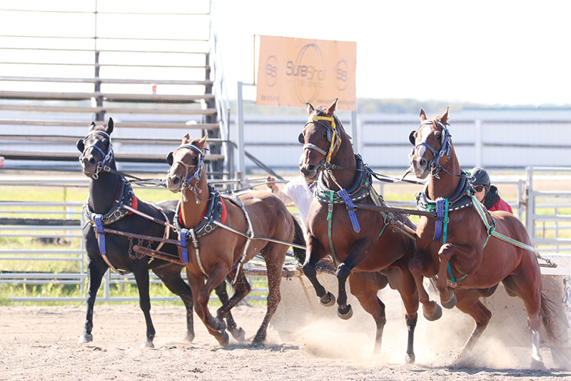 Fall Fair offers a farmers market and a day (or two) at the races